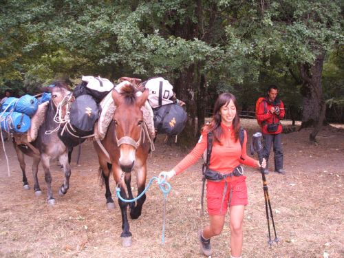 trekking con i muli-125.JPG